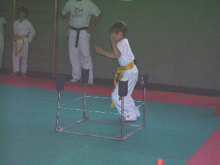 Image description